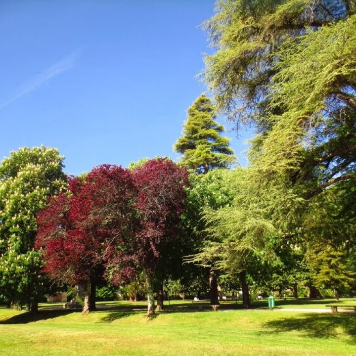 WhatsApp Image 2024-04-05 at 11.07.57 PM (6)